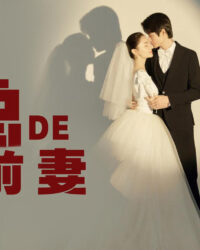 Cựu Vợ Thế Thân Của Tổng Giám Đốc