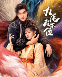 Cửu Vỹ Không Thể Giấu