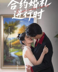 Đám Cưới Hợp Đồng Đang Diễn Ra