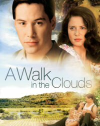 Dạo bước trên mây