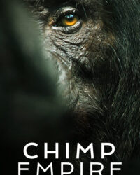 Đế chế tinh tinh