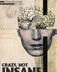 Điên, Không Mất Trí