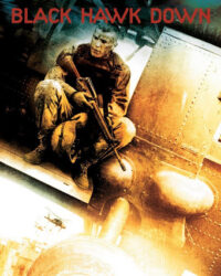 Diều Hâu Gãy Cánh Diều Hâu Gãy Cánh