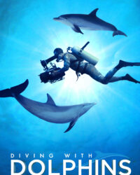 Diving with Dolphins