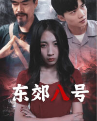 Đông Giảo số 8 ( Dịch vụ dọn nhà lúc nửa đêm)