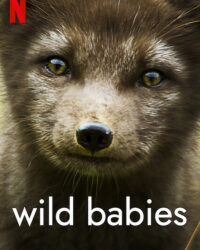 Động vật chào đời