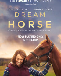 Dream Horse Dream Horse