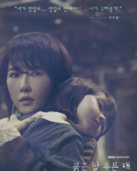 Đứa Trẻ Vô Danh