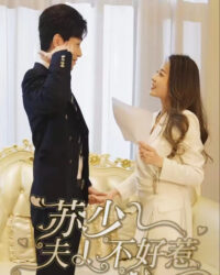 Đừng Chọc Tức Thiếu Phu Nhân Tô