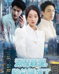 Đừng Làm Tổn Thương Em, Tổng Giám Đốc Lục Đừng Làm Tổn Thương Em, Tổng Giám Đốc Lục