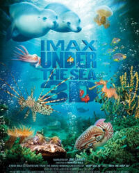 Dưới Lòng Đại Dương