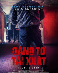 Găng Tơ Tái Xuất