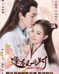 Gặp Chàng Đúng Lúc