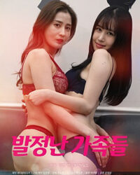 Gia Đình Nóng Bỏng