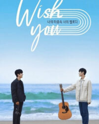 Giai Điệu Của Bạn, Tiếng Lòng Của Tôi