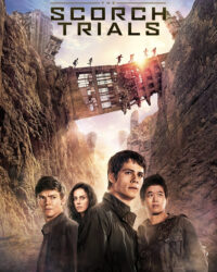 Giải Mã Mê Cung: Thử Nghiệm Đất Cháy Giải Mã Mê Cung: Thử Nghiệm Đất Cháy