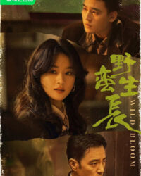 Gió Thổi Bán Hạ (Dã Man Sinh Trưởng) Gió Thổi Bán Hạ (Dã Man Sinh Trưởng)