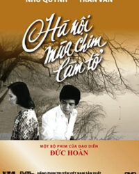 Hà Nội mùa chim làm tổ