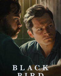 Hắc Điểu (Phần 1)