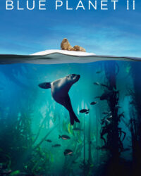 Hành Tinh Màu Xanh Dương 2 Hành Tinh Màu Xanh Dương 2