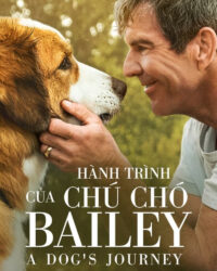 Hành Trình Của Chú Chó Bailey