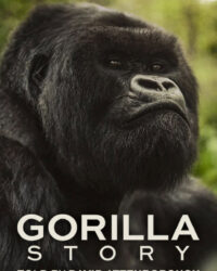 Hành Trình Của Khỉ Đột – Qua Giọng Kể David Attenborough