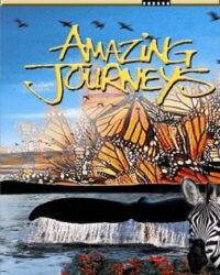 Hành Trình Kinh Ngạc