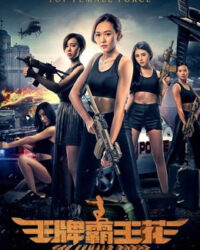 Hoa Acemaster Hoa Acemaster