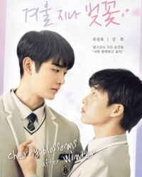 Hoa Anh Đào Cuối Đông