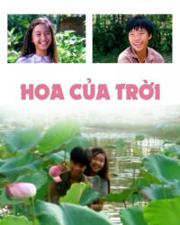 Hoa Của Trời