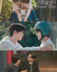 Hoa Đào Nở Hoa Đào Nở