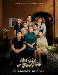 Hoa Sữa Về Trong Gió