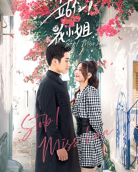 Hoa Tiểu Thư, Đứng Lại!