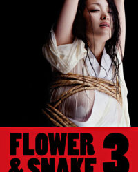 Hoa Và Rắn 3