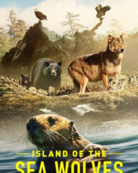 Hòn đảo của sói biển