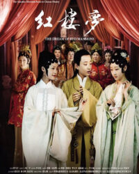 Hồng Lâu Mộng (2010)