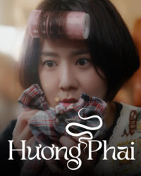 Hương Phai Hương Phai