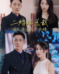 Kết Hôn Lần Hai Với CEO: Anh Trai Chồng Cũ Thành Con Rể Kết Hôn Lần Hai Với CEO: Anh Trai Chồng Cũ Thành Con Rể