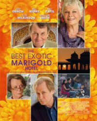 Khách Sạn Hoa Cúc Vàng Nhiệt Đới