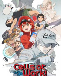 Khi các tế bào làm việc