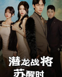 Khi Chiến Binh Rồng Tỉnh Giấc