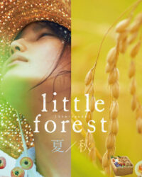 Khu Rừng Nhỏ- Hạ/Thu