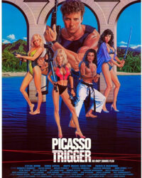 Kích hoạt Picasso