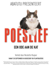 Kitty Love: Mèo cưng nhà mình Kitty Love: Mèo cưng nhà mình