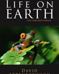 Life on Earth Life on Earth