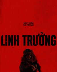 Linh Trưởng