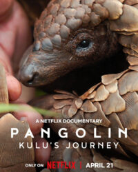 Loài tê tê: Hành trình của Kulu
