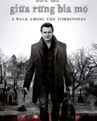 Lối Đi Giữa Rừng Bia Mộ