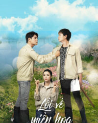 Lối Về Miền Hoa Lối Về Miền Hoa