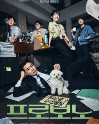 Luật Sư Công Ích